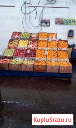 Мандарин Луховицы - изображение 1