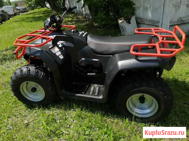 Квадроцикл Sharmax Luxe 250 (18 л.с.) с псм Омск - изображение 1
