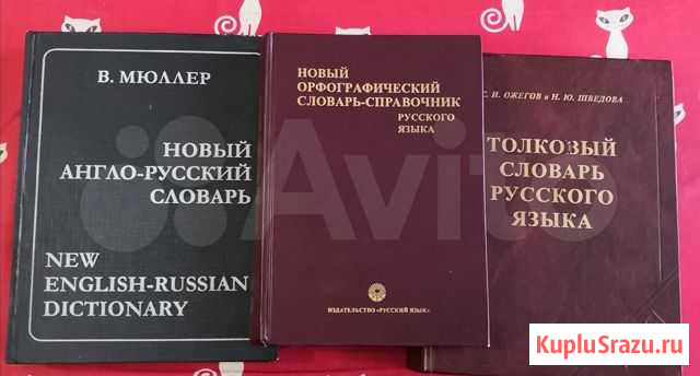 Толковый словарь Ожегова и другие Среднеуральск - изображение 1
