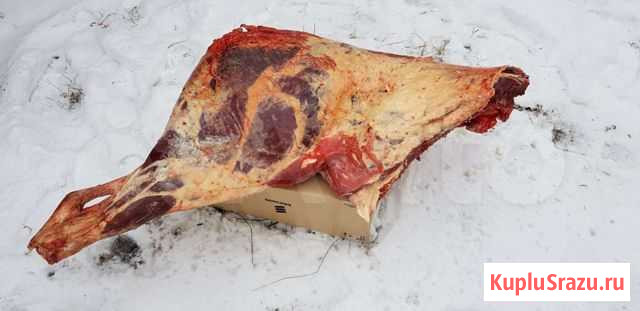 Продам стегно бычка, закамна Улан-Удэ - изображение 1
