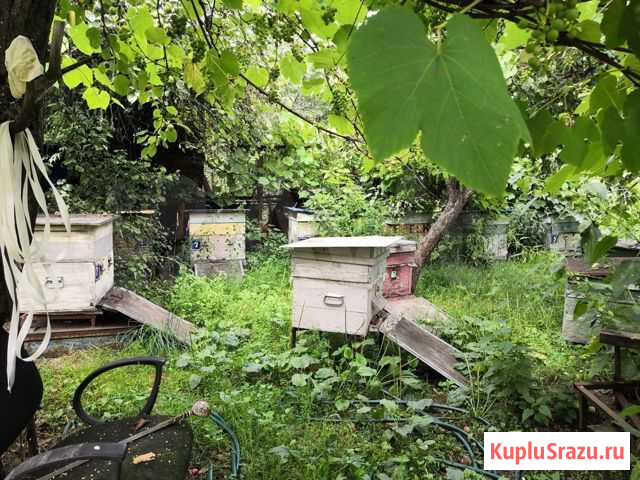Продам ульи. Пчёл нет Бор - изображение 1