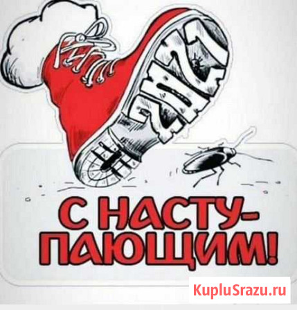 Дезисекция Кострома - изображение 1