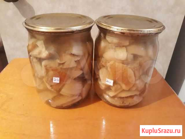 Солёные и маринованные грибы Тверь - изображение 1