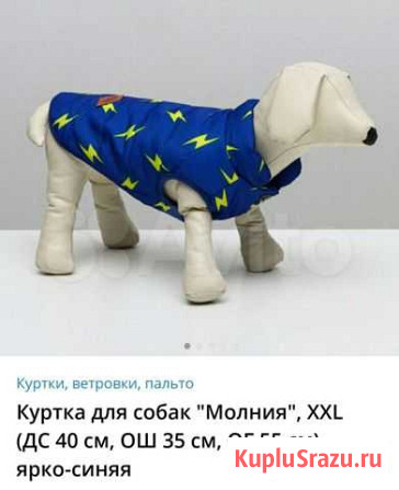 Одежда для собаки Севастополь - изображение 1