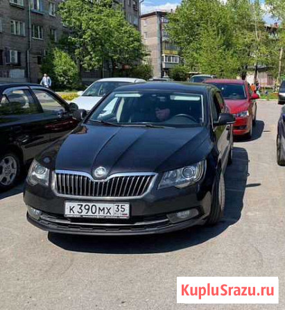 Трезвый водитель Череповец - изображение 1