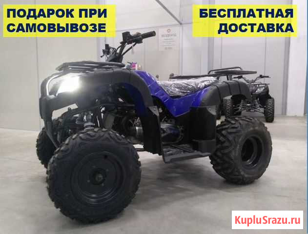 Квадроцикл motax ATV Grizlik 200 (модель 2020 г) Клин - изображение 1