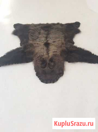 Выделка шкур Архангельск - изображение 1