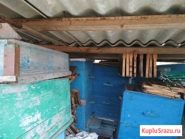Продаю пчелоинвентарь Котово - изображение 1