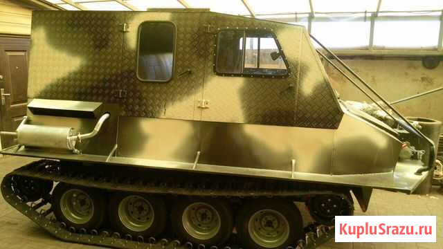 Гусеничный снегоболотоход Жук 9 Петропавловск-Камчатский - изображение 1