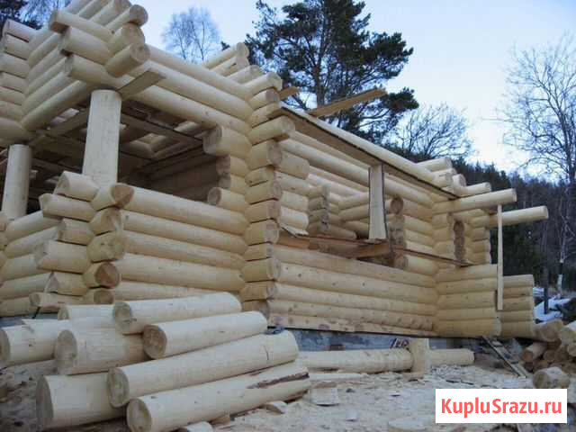 Шлифовка /Покраска Деревянных домов Хомутово - изображение 1