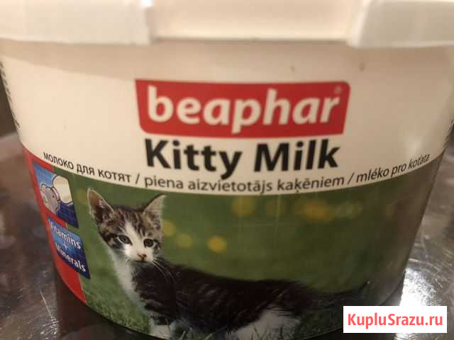Молоко для котят Тверь - изображение 1