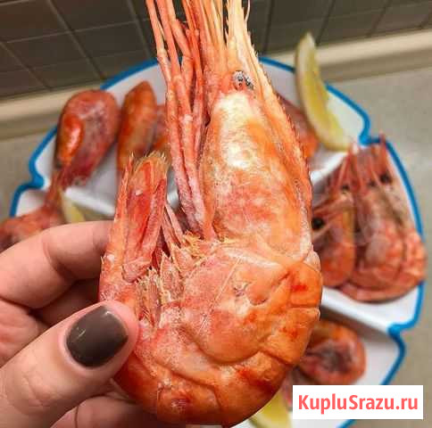Креветка Ботан, все морепродукты Сочи - изображение 1