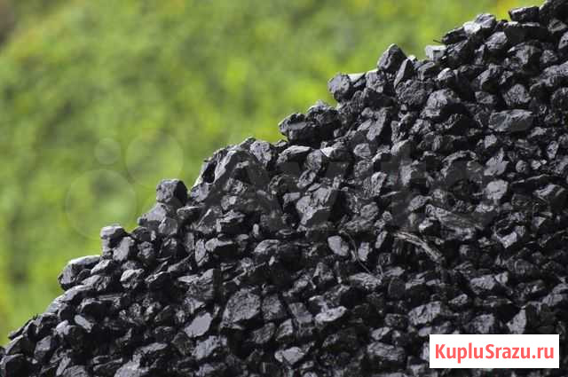 Кузбасский уголь Бийск - изображение 1