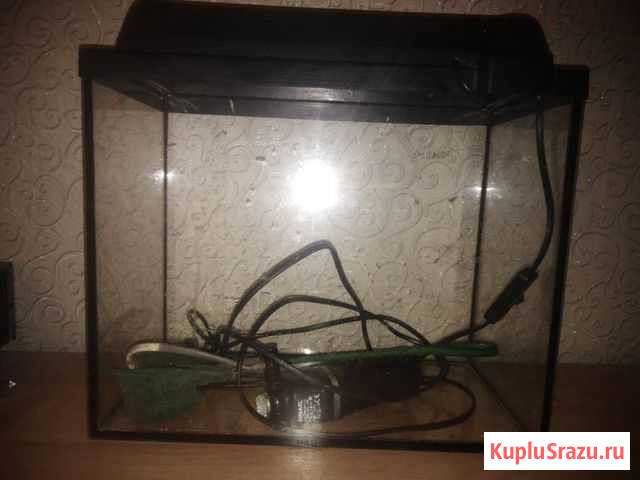 Аквариум Кострома - изображение 1