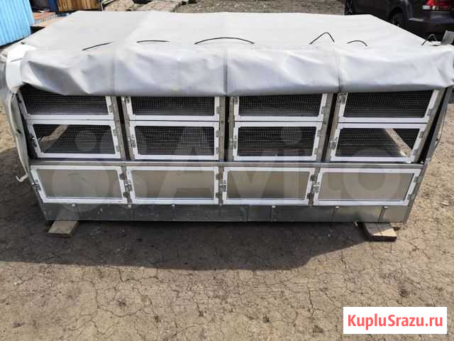 Клетка для перевозки птиц Набережные Челны - изображение 1