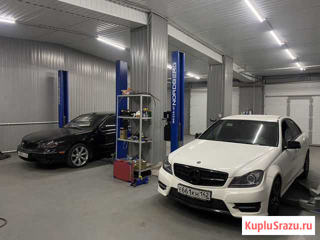 Удаление катализатора+бесплатный пламегаситель Новокузнецк - изображение 1