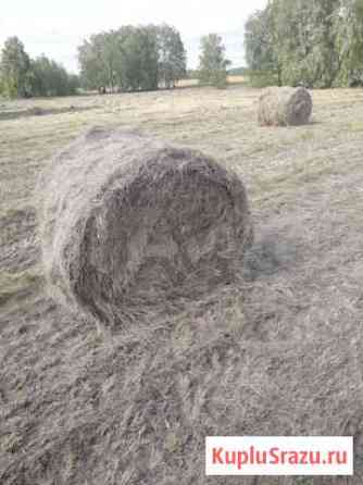 Сено Варна