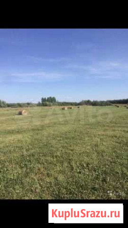 Сено Нефтеюганск - изображение 1