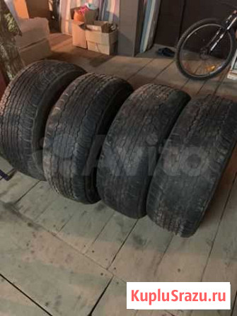Шины Dunlop Большое Козино - изображение 1
