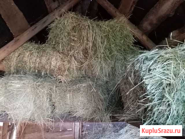 Сено Уварово - изображение 1