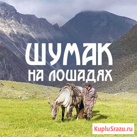 Шумак на Лошадях 2021 Иркутск - изображение 1
