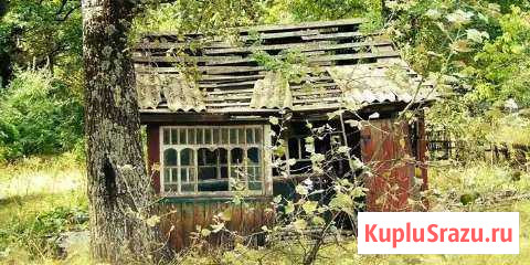 Демонтаж и вывоз мусора с участков Большая Ижора - изображение 1