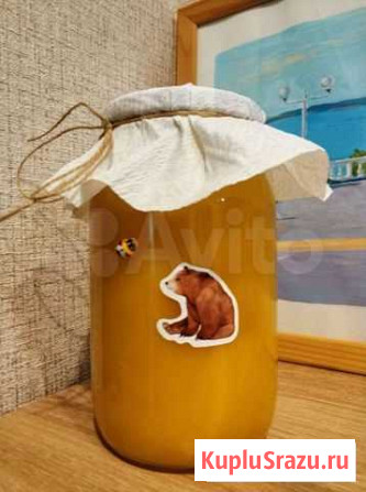 Мед натуральный Орехово-Зуево - изображение 1