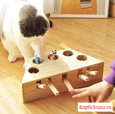 Игрушки для кота (интерактивные ) Симферополь - изображение 1
