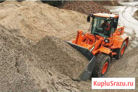 Фронтальный погрузчик Doosan DL250A Санкт-Петербург - изображение 1