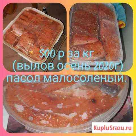 Семужка(Кета) Комсомольск-на-Амуре