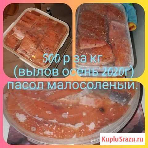 Семужка(Кета) Комсомольск-на-Амуре - изображение 1