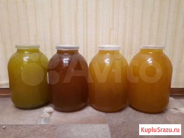 Мёд сборный, цветочный Саратов - изображение 1