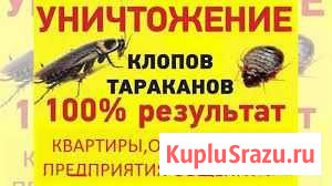 Травим тараканов Тюмень - изображение 1