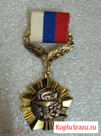 Знак за развитие физкультуры и спорта. Тяжёлый Владимир - изображение 1