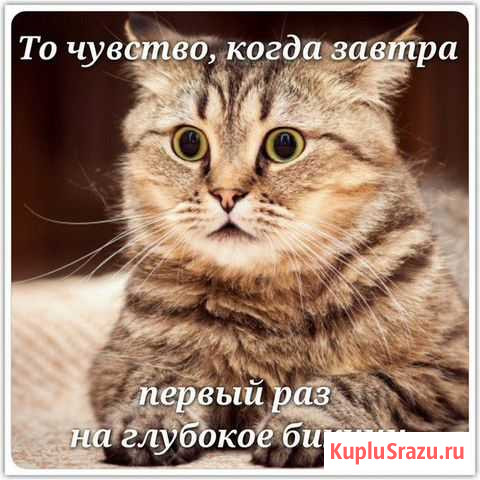 Шугаринг Яблоновский - изображение 1