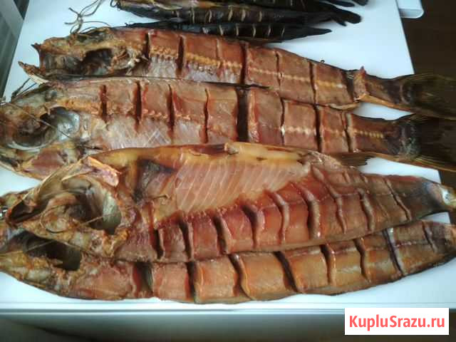 Домашнее копчение Грязи - изображение 1