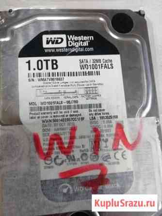 WD0100fals 1000 GB жесткий диск Белгород