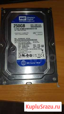 Hdd wd 250gb blue (Битые сектора) Димитровград - изображение 1