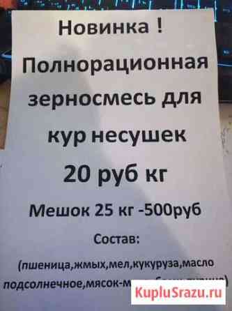 Комбикорм кур несушек Мичуринск