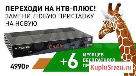 Переходи на НТВ плюс Альметьевск