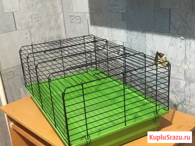 Клетка для морской свинки Муром - изображение 1