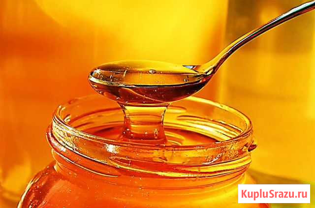 Продам мед Электросталь - изображение 1