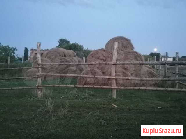 Сено Киргиз-Мияки - изображение 1