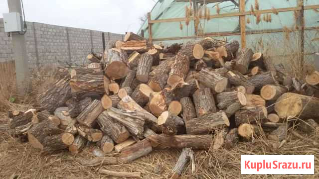 Дрова Астрахань - изображение 1