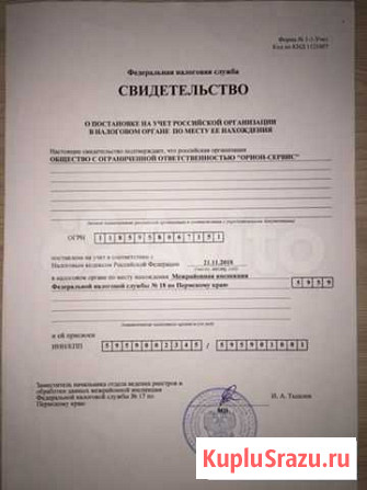 Продам ооо Чернушка - изображение 1