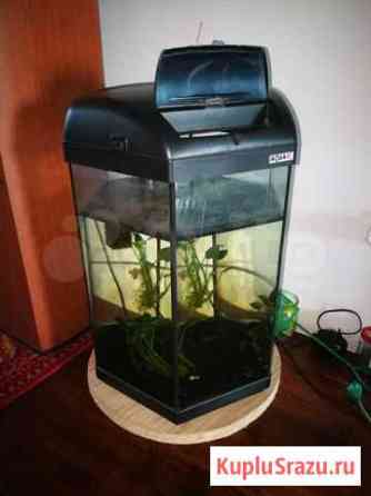 Аквариум Aquael на 50 литров с компрессором Кемерово