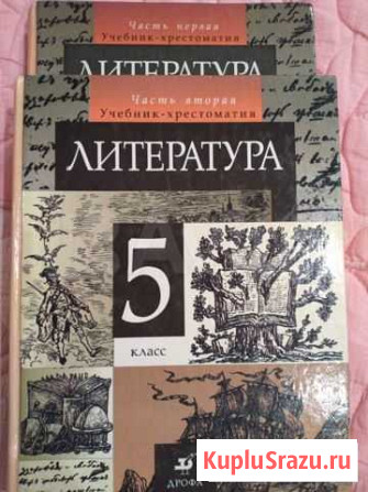 Учебники литература Курдюмова 5,7,8,9 кл Волгодонск - изображение 1