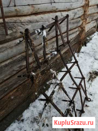 Грабли вспашные тракторные Раевский - изображение 1