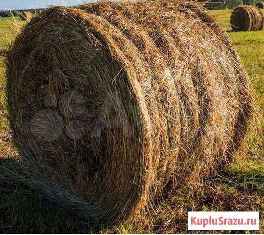 Сено в рулонах Барда