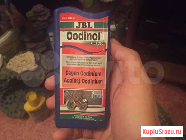 Корм для рыб Кемерово - изображение 1